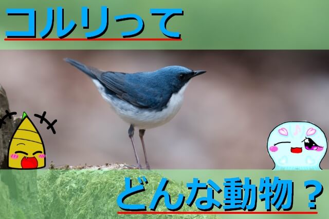 Thumbnail of post image 004